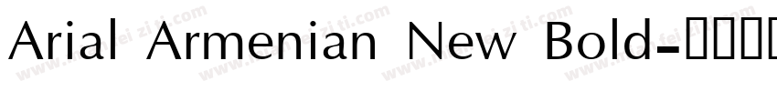 Arial Armenian New Bold字体转换